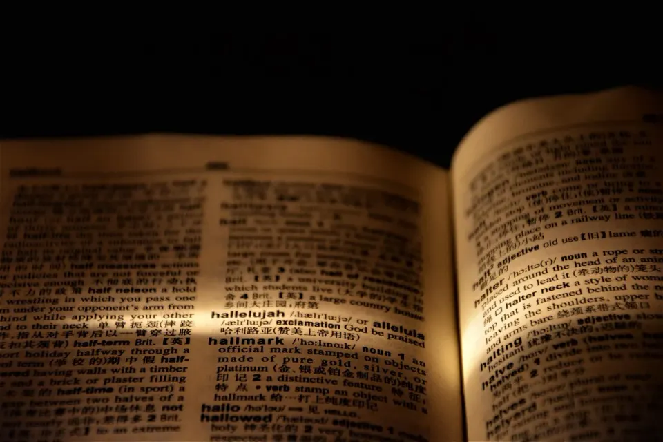 A close-up of a dictionary page, a reminder that detectors judge how common your word choices are