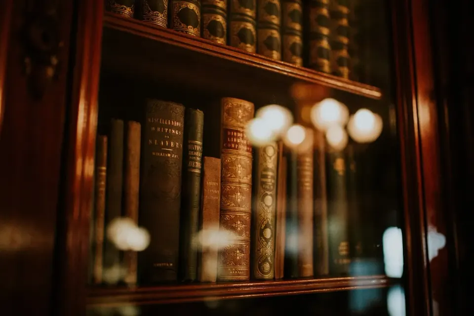 books, library, bookcase, bookshelves