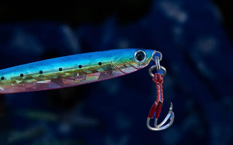 A fishing hook with a lure, the classic image behind the word phishing